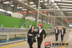 菲律賓及日本客戶一行聯(lián)合來(lái)訪寶潤(rùn)達(dá)