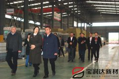 爨麗敏市長一行蒞臨寶潤達視察上市工作開展情況