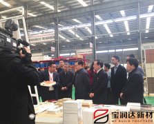 副國級領(lǐng)導(dǎo)來訪寶潤達(dá)參觀調(diào)研