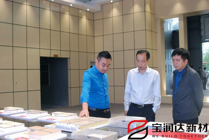 市產(chǎn)業(yè)集聚區(qū)冀偉主任一行來訪寶潤(rùn)達(dá)視察